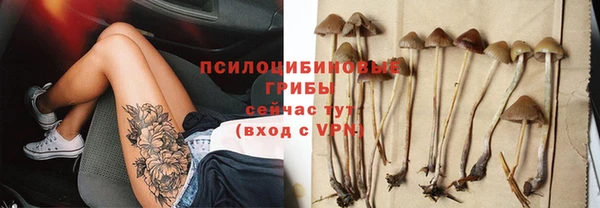 apvp Белоозёрский
