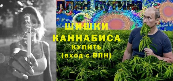 Альфа ПВП Белокуриха