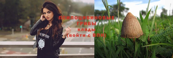 ешки Беломорск