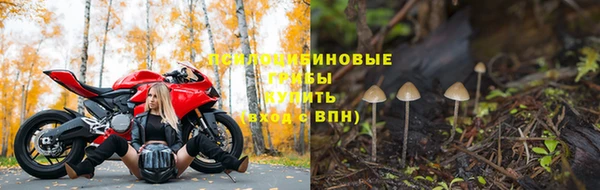 Альфа ПВП Белокуриха