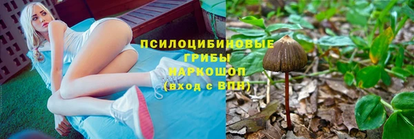 Альфа ПВП Белокуриха