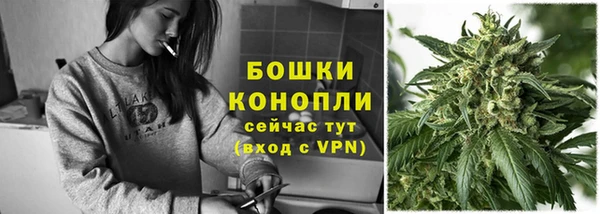 Альфа ПВП Белокуриха