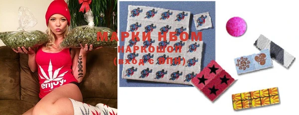Альфа ПВП Белокуриха