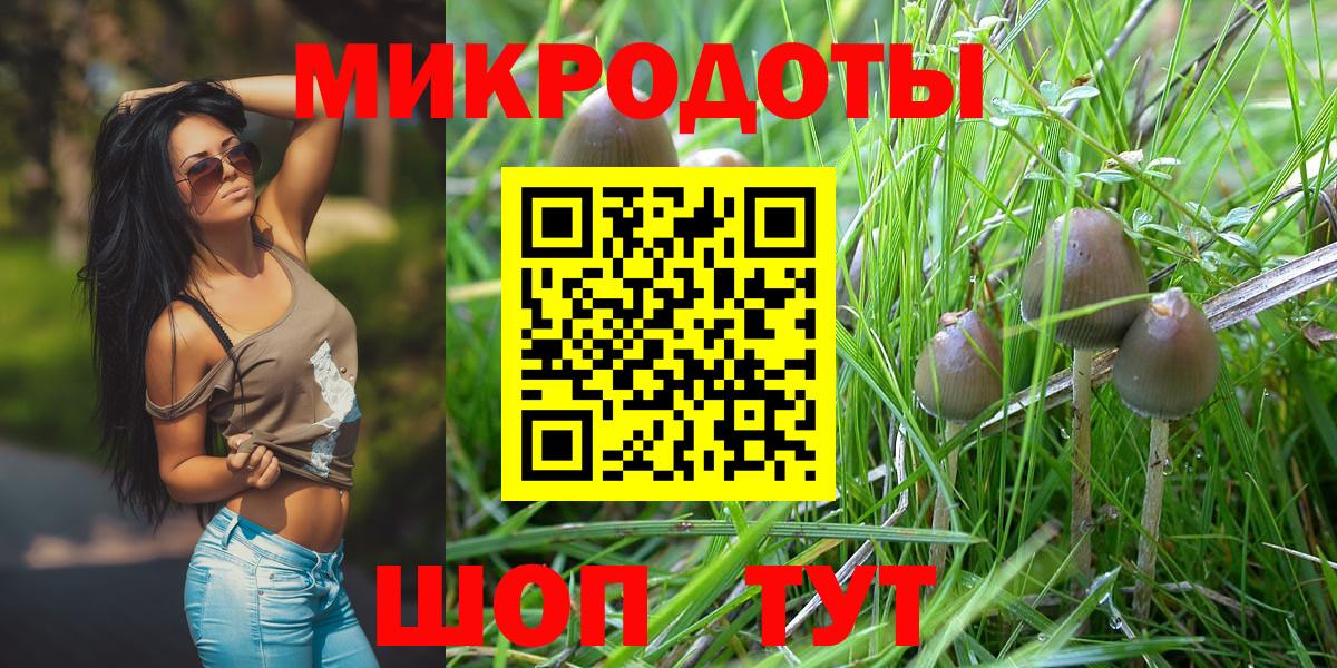 Галлюциногенные грибы Cubensis Бузулук